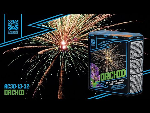 Argento Orchid