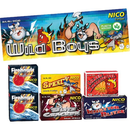 NICO Wild Boys image 0